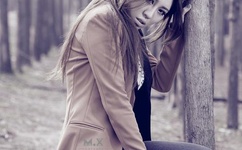 3d豪情字幕文件